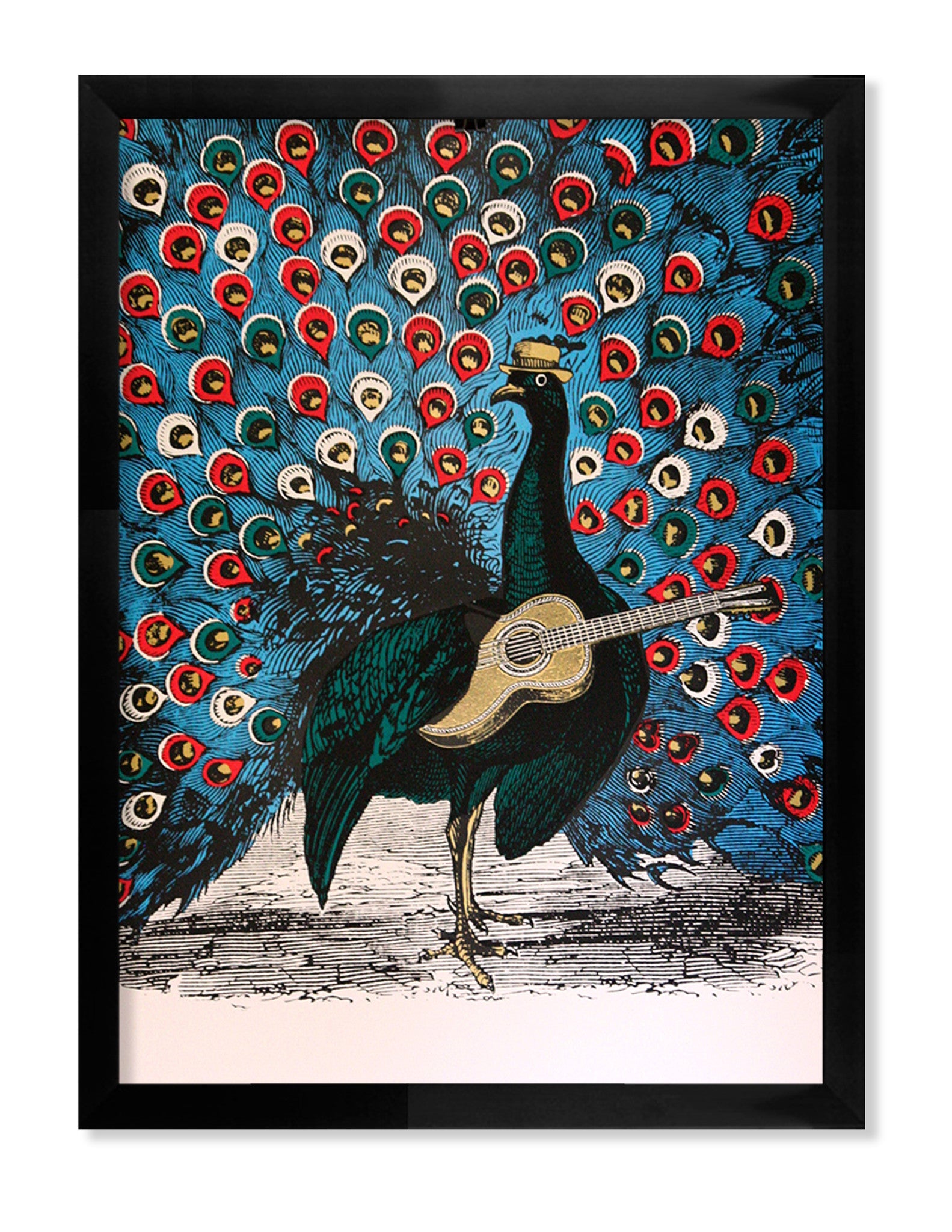 "Peacock Strummer"